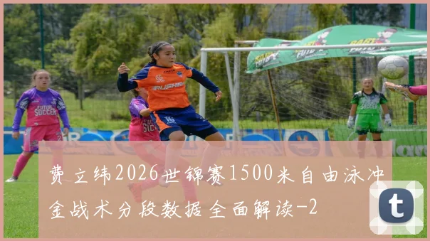 费立纬2026世锦赛1500米自由泳冲金战术分段数据全面解读