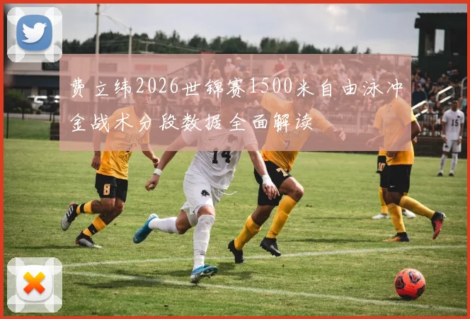 费立纬2026世锦赛1500米自由泳冲金战术分段数据全面解读