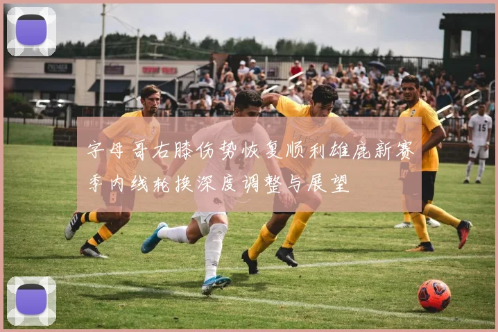 字母哥右膝伤势恢复顺利雄鹿新赛季内线轮换深度调整与展望