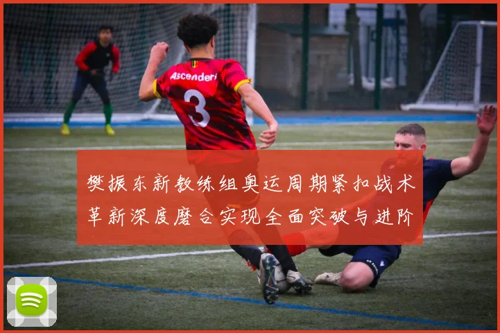 樊振东新教练组奥运周期紧扣战术革新深度磨合实现全面突破与进阶