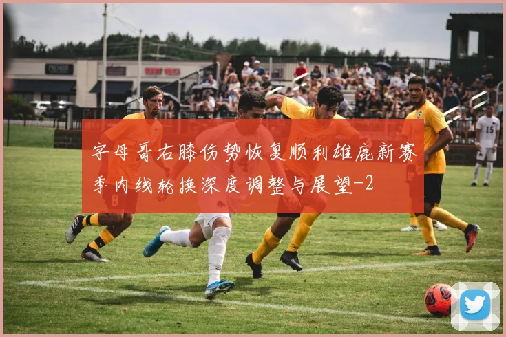 字母哥右膝伤势恢复顺利雄鹿新赛季内线轮换深度调整与展望