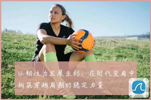 以韧性为发展坐标，在时代变局中构筑穿越周期的稳定力量